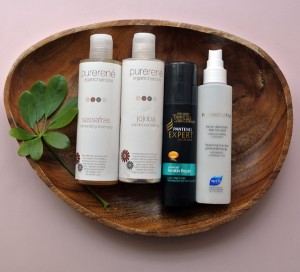 Blof over Pure René van Artigo MINI SAIA