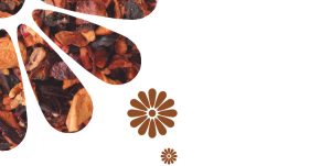 Header Pure Rene Sassafras Harmonizing Shampoo
