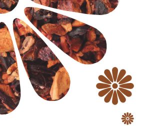 Header PureRene Sassafras Harmonizing Shampoo