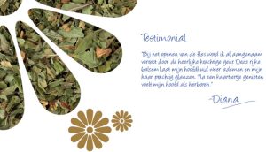 Header Pure Rene Spirulina Curative Balm