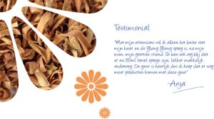 PureRené Ylang Ylang Conditioning Mist